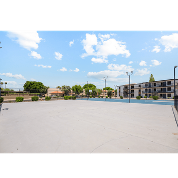 Basketball court